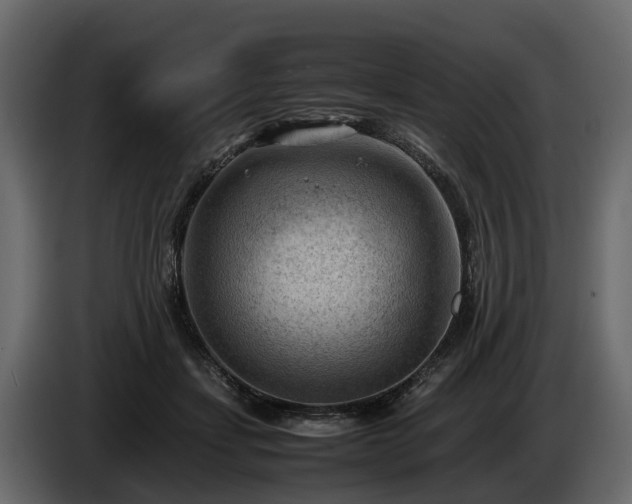 X0000085740459200703231114