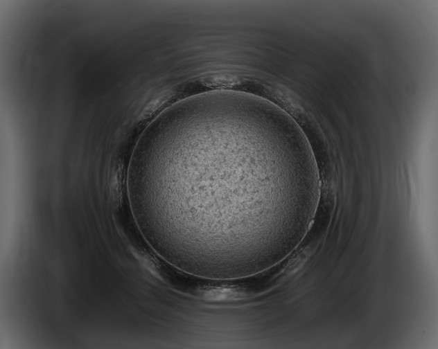 X0000085740460200703231114