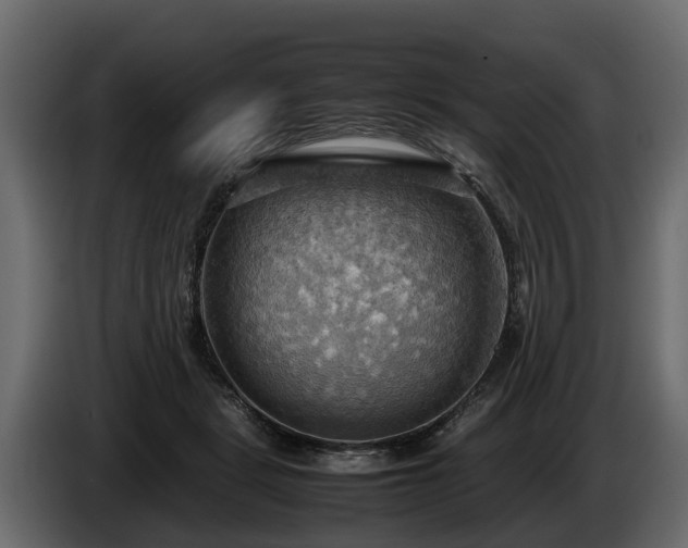 X0000085740461200703231114