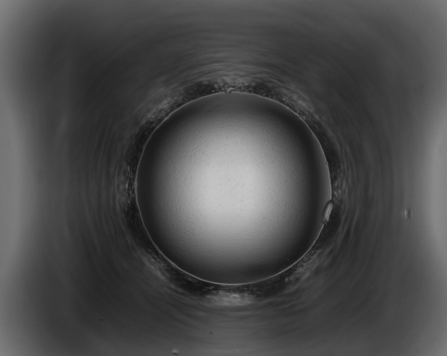 X0000085740464200703231114