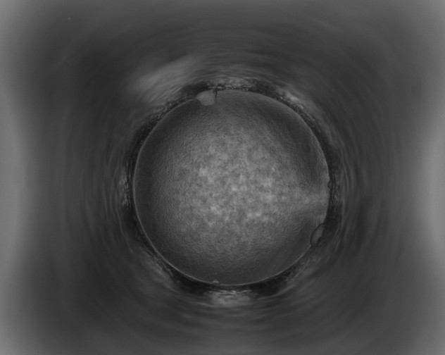 X0000085740465200703231114