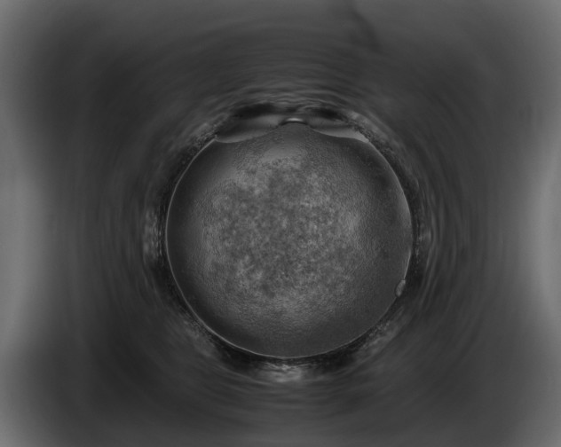 X0000085740469200703231114