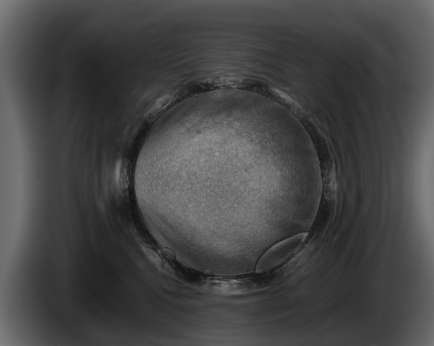 X0000085740472200703231114