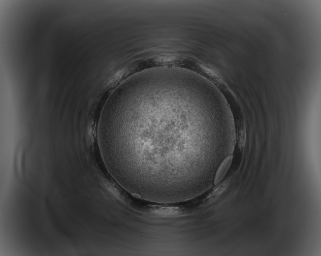 X0000085740476200703231114