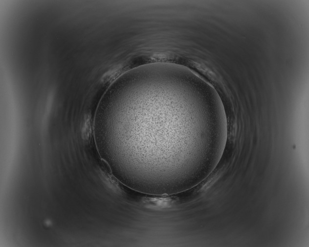 X0000085740478200703231114