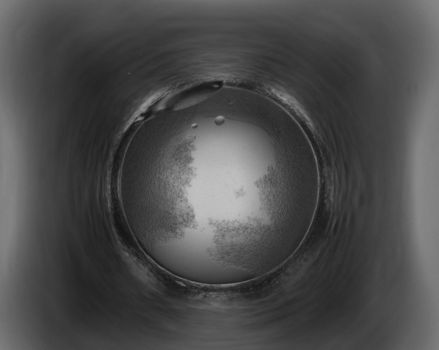 X0000085740482200703231113