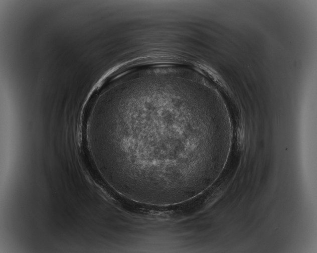 X0000085740484200703231113