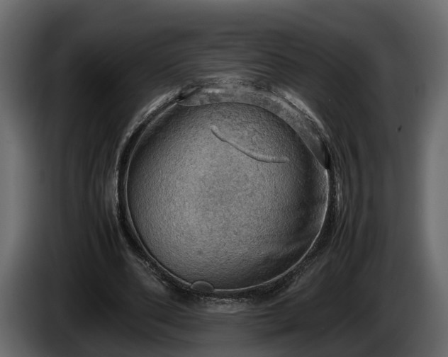 X0000085740486200703231113