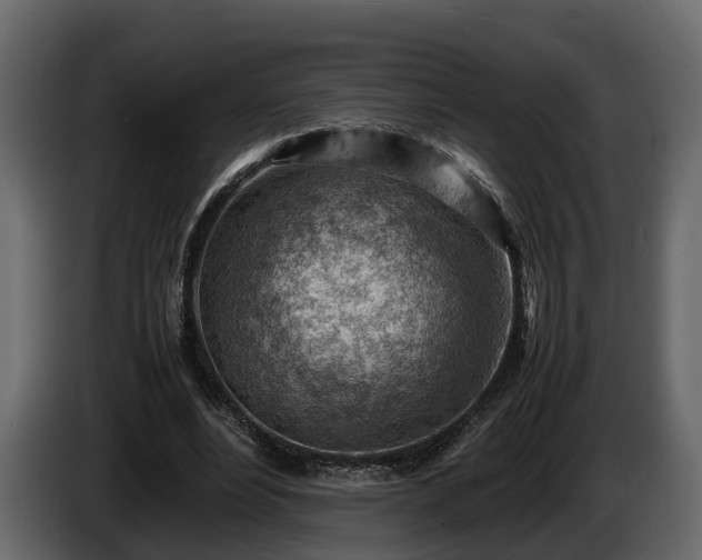 X0000085740488200703231113