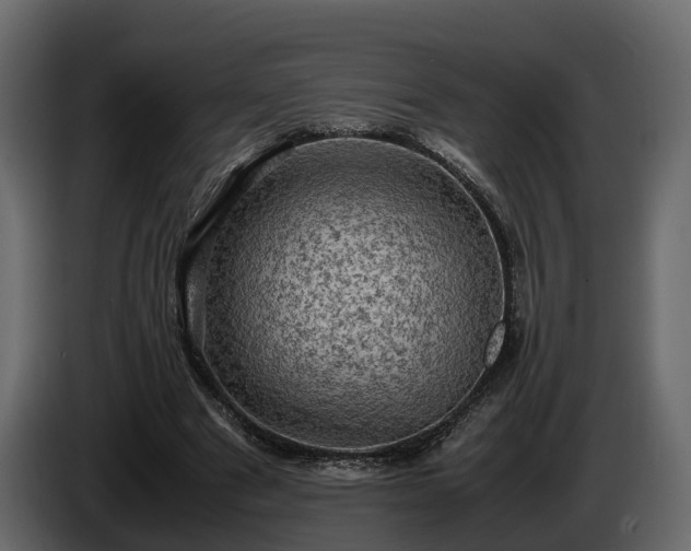 X0000085740489200703231113
