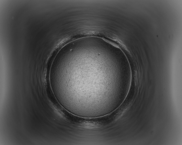 X0000085740490200703231113