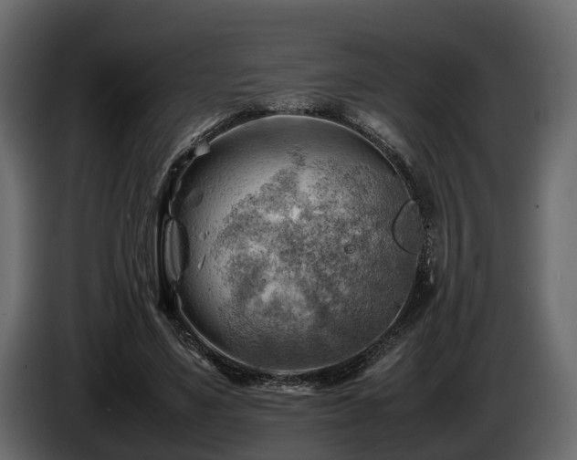 X0000085740491200703231113