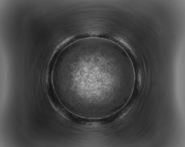 X0000085740492200703231113