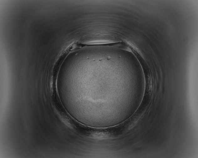 X0000085740494200703231113