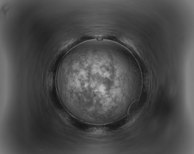 X0000085740495200703231113