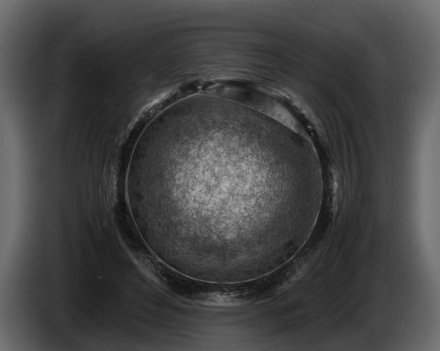 X0000085740496200703231113