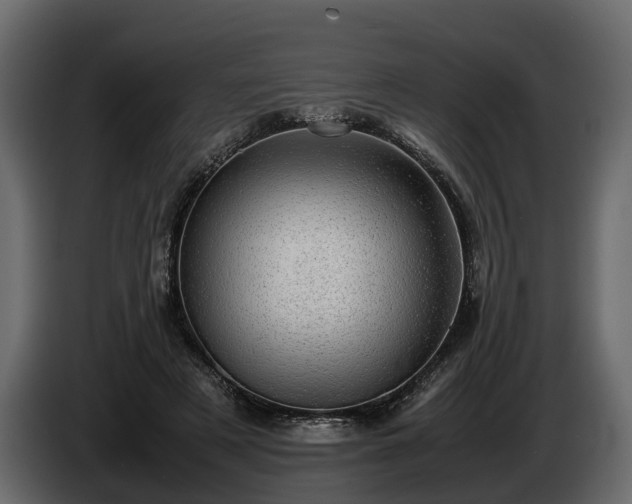 X0000085740497200703231113