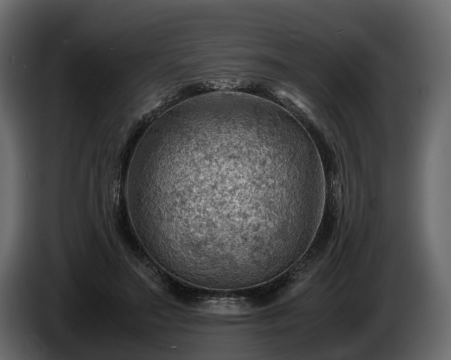X0000085740499200703231113