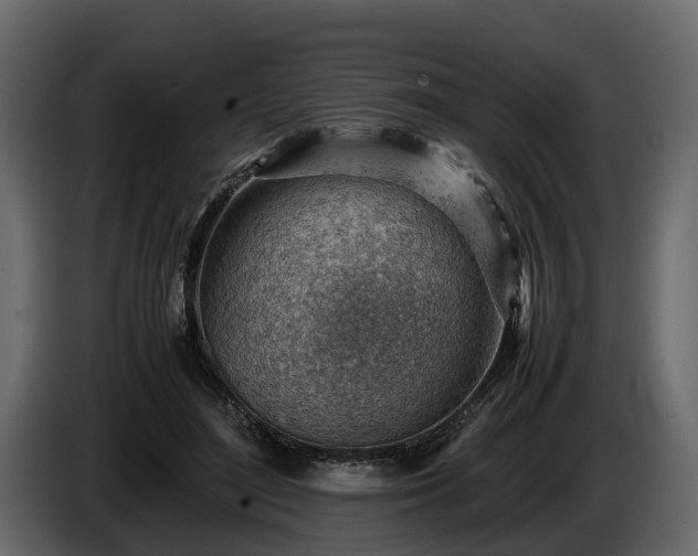 X0000085740500200703231113
