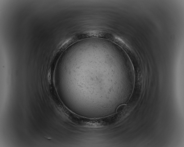 X0000085740502200703231113