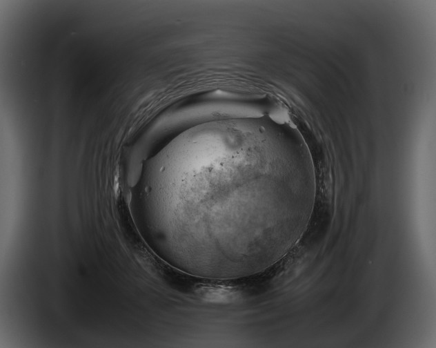 X0000085740507200703231113
