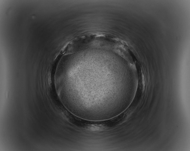 X0000085740508200703231113