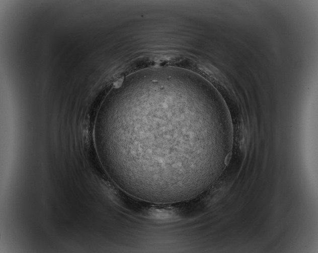 X0000085740510200703231113