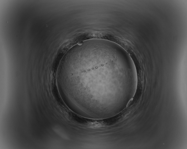 X0000085740511200703231113