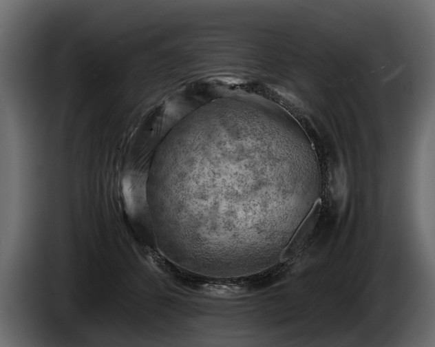 X0000085740512200703231113
