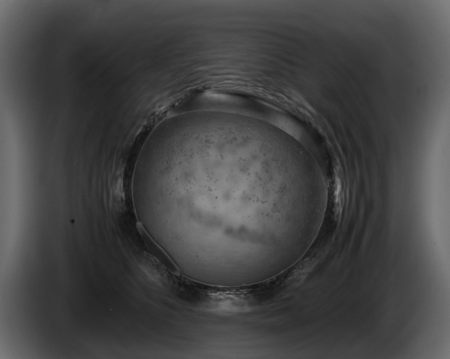 X0000085740516200703231113