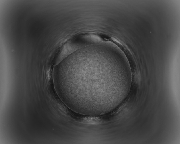 X0000085740517200703231113