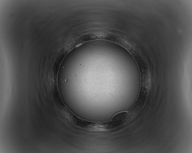 X0000085740518200703231113