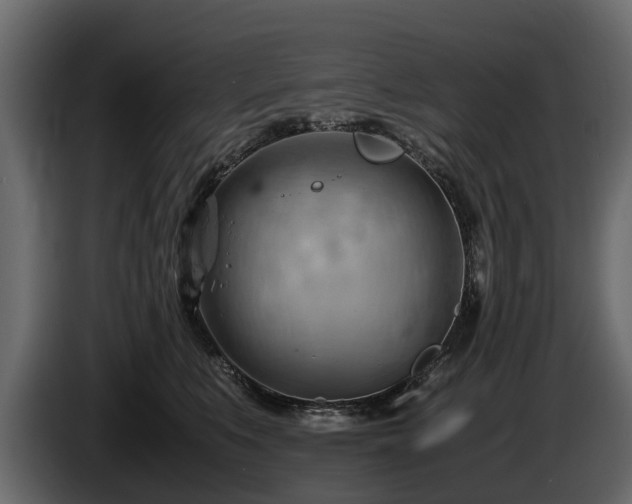 X0000085740519200703231113
