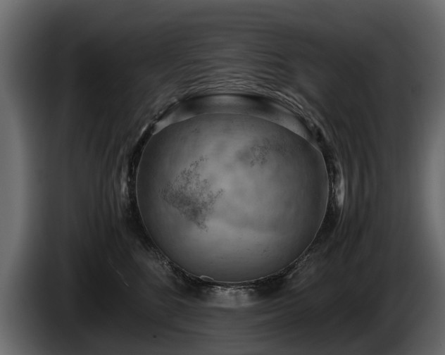X0000085740520200703231113