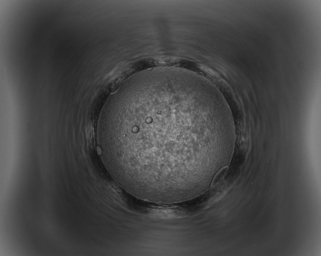 X0000085740523200703231113