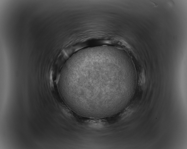 X0000085740524200703231113