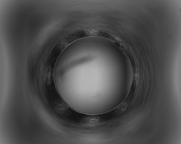 X0000085740525200703231113