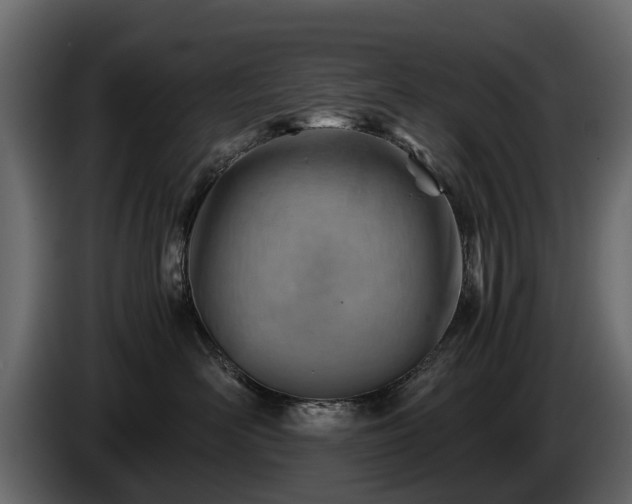 X0000085740526200703231113