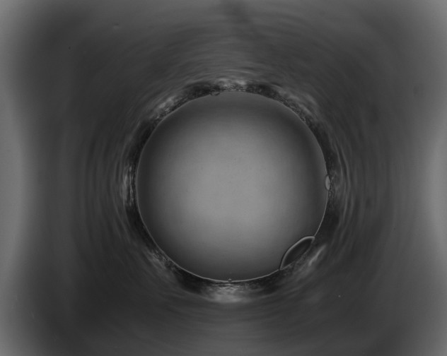X0000085740527200703231113