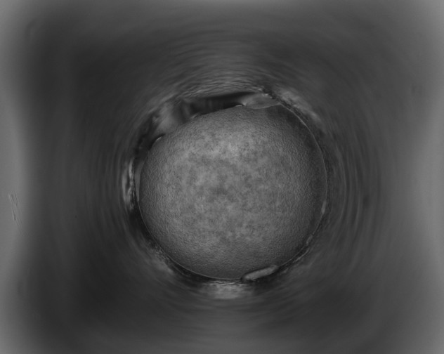 X0000085740528200703231113