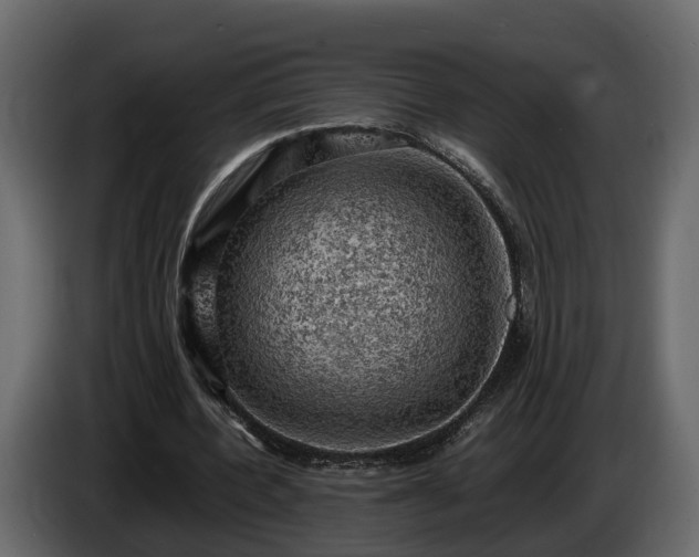 X0000085740532200703231112