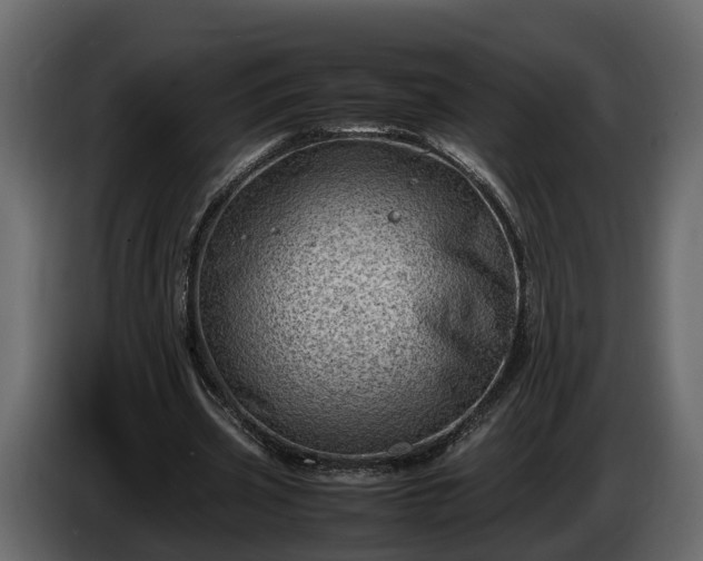 X0000085740533200703231112