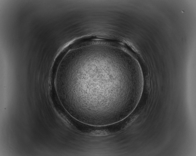 X0000085740536200703231112