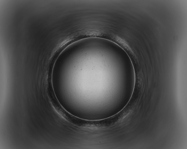 X0000085740538200703231112