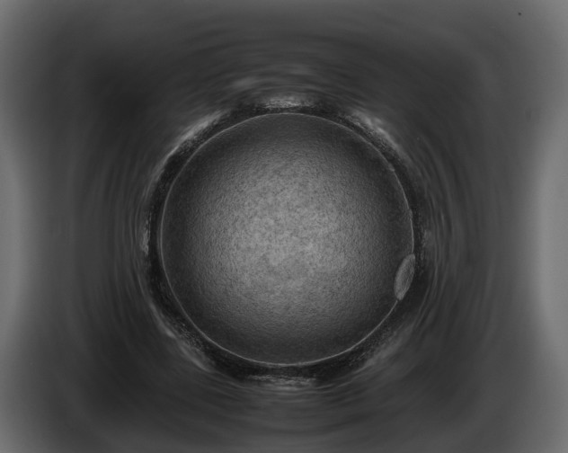 X0000085740539200703231112