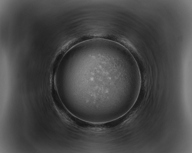 X0000085740542200703231112
