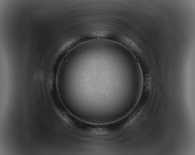 X0000085740544200703231112