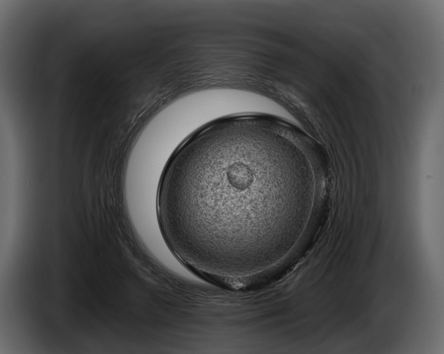 X0000085740546200703231112