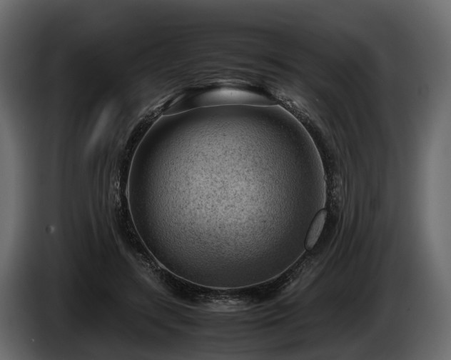 X0000085740547200703231112
