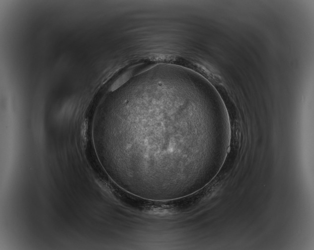 X0000085740550200703231112